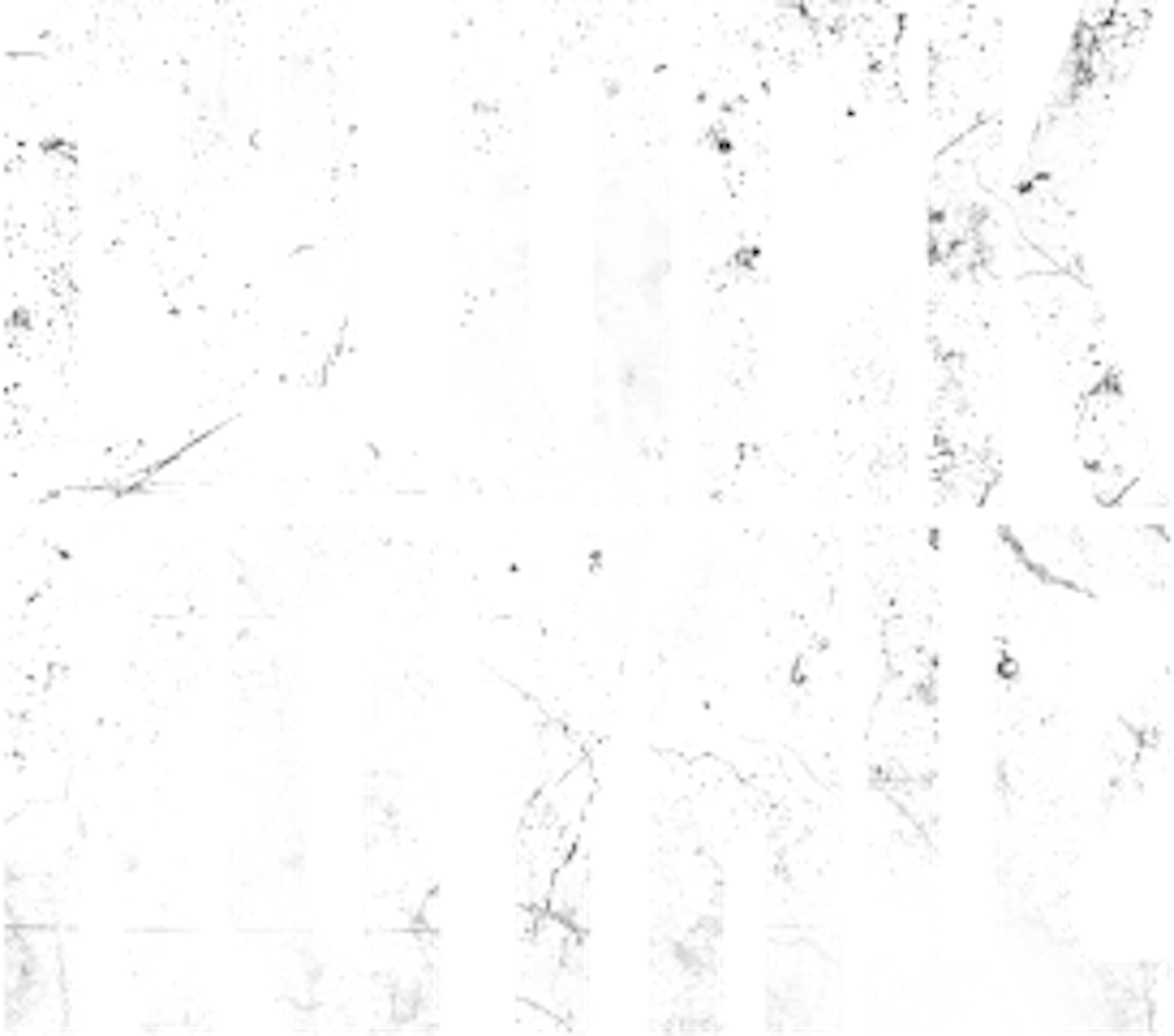 block-royale